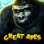 Great Apes